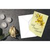 Better Office Products Sympathy Cards W/Envelopes, 4in. x 6in. 5 Cover Designs, Blank Inside, 100PK 64540